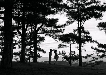 Heartstrings: The Power of Romantic Connection