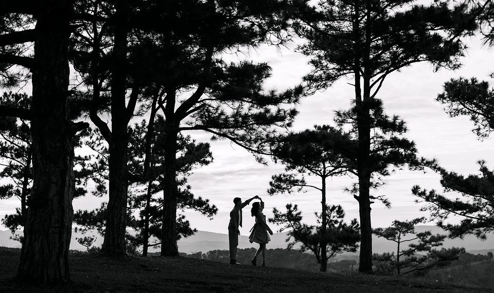 Heartstrings: The Power of Romantic Connection