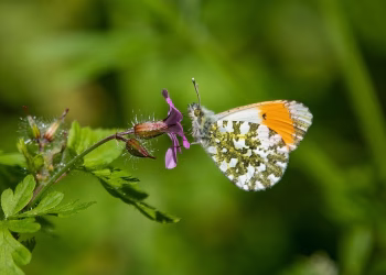 Building Bridges: The Art of Cultivating Strong and Lasting Relationships