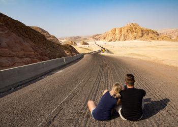 Forever Friends: The Power of Loyalty in Friendship