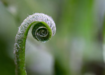 Mastering the Art of Intentional Dating: A Guide to Finding Meaningful Connections