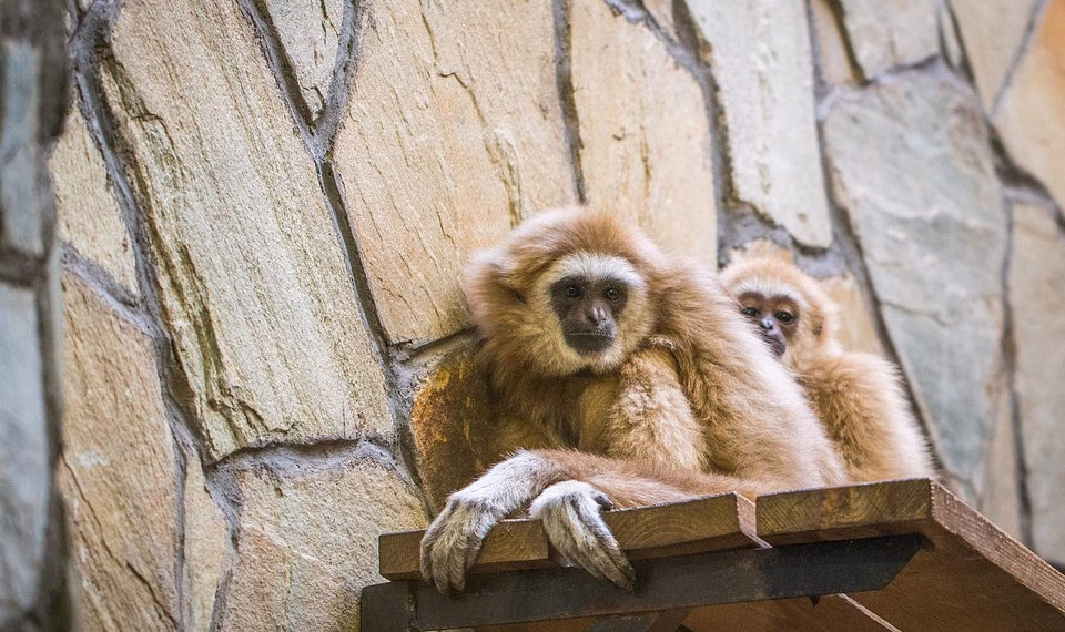The Unbreakable Spirit: Building Emotional Resilience in the Face of Adversity